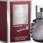 graphisme packaging parfum salvador